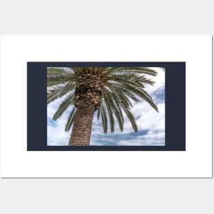 Palm tree against blue cloudy sky Posters and Art